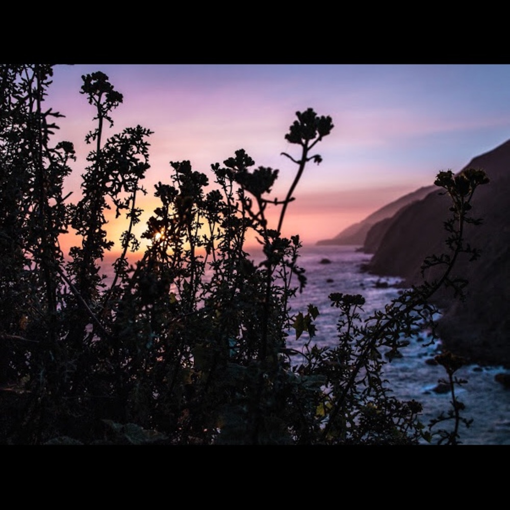 Meet your Posher, Allen